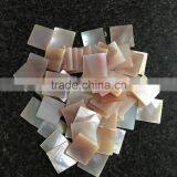 American Pink Shell Chips