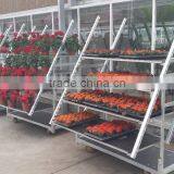 Garden Flower Display Shelf / Metal Storage Shelf thumbnail-3