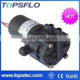 Small dc brush motor gear pump,machine ice cream pump