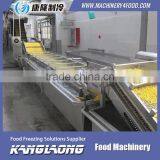 Hot Selling Chilli Washing Machine With Great Price thumbnail-1