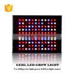Specially Designed Waterproof LED Grow Light for Vegetables and Plants thumbnail-2