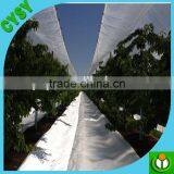 Reinforced Hdpe uv Stable Cherry Cover Film,transparent Rain Cover Cherry Protect Film,waterproof Membrane Clear Woven Film thumbnail-3