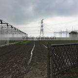 Agicultural Greenhouse thumbnail-3