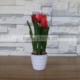 Artificial Colourful Flower Bonsai for Home and Commercial Decoation thumbnail-4