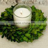 8'' Preserved Boxwood Wreath Wholesale thumbnail-4