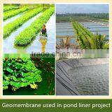 Hdpe Geomembrane for Shrimp Pond thumbnail-3