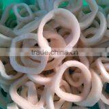 Frozen IQF Fresh IQF New Produced Squid Ring thumbnail-4