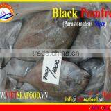 FROZEN BLACK POMFRET WHOLE ROUND thumbnail-1