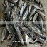 2017 Hot Sales Fish Land Frozen Good Round Scad thumbnail-1