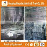 Heracles A-type Hot Sale Automatic Chicken Ayer Cage for Sale in Philippines thumbnail-4