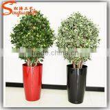 Large Outdoor Bonsai Trees Banyan Wholesale Bonsai Trees Ficus Microcarpa Bonsai Trees thumbnail-1