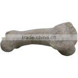 Dinosaur Bone thumbnail-1