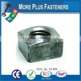 Made in Taiwan Plain Finish Steel Heavy Black Oxide Stainless Steel Square Nut thumbnail-3