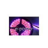 LED Strip 5050R60-RGB Decrotive Night Neon Christmas Lights/lighting/lamps/bulbs thumbnail-1