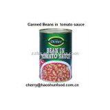 Canned Bakes Beans in Tomato Sauce w/ Low Price thumbnail-1