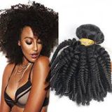 Tangle Free Pre-bonded  Bright Color 12 -20 Inch Brazilian Curly Human Hair Grade 6A