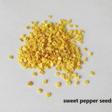 Purple Hybrid Blocky Sweet Pepper Seeds thumbnail-5