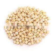 Organic Vietnam White Lotus Seeds From Vietnam thumbnail-3