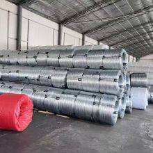 Steel Wire thumbnail-4