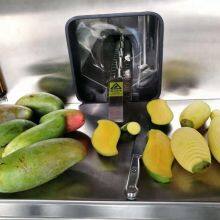 Hot Filling Canned Mango Production Line Automatic Machine for Dessert thumbnail-3