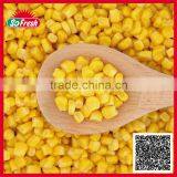 710 Variety 340g Canned Sweet Corn thumbnail-1