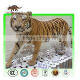 Life Size Animatronic Animal Tiger