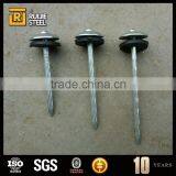 15cm Iron Nail/Galvanized Umbrella Head Roofing Nails High Quality Products