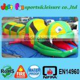 Inflatable Animal Fun Run, Inflatable Animal Obstacle Course