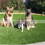 fake synthetic grass lawn animal