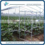 Cheap Plastic Film Greenhouse for Sale thumbnail-2