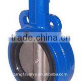 Wafer Concentric Butterfly Valve