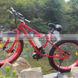 big wheel HOT selling 2014 new 4 inch wheel wholesale ebike