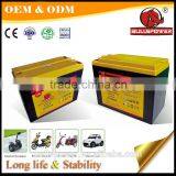 Rechargeable 6 Dzm 20 Elettrico Scooter Batteria da 12 Volt thumbnail-2