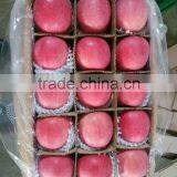 Best Price China Red Fuji Apples thumbnail-2