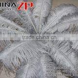 CHINAZP Factory Exporting Leading Bulk Sale Colored Stripped Silver Grey Large Ostrich Feathers for Weddings thumbnail-3