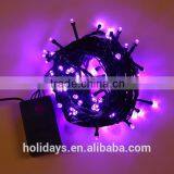 Led Christmas String Lights for 2015 Light Show thumbnail-2