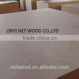 Linyi 3mm Okoume Plywood Factory thumbnail-3