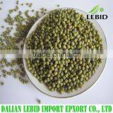 Chinese Wholesale Green Mung Bean 2015 Crop thumbnail-1