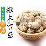 4-5cm Top Quality Dried White Shiitake Mushroom thumbnail-3