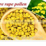 New Fresh Rape Bee Pure Pollen