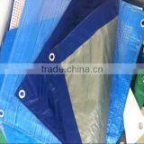 Waterproof Weather Resistant Plastic Swimming Pools