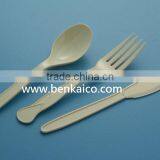 Disposable Cutlery thumbnail-1