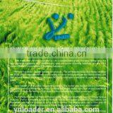 Yineng Group 9QSZ-2200 Green(yellow) Forage Harvester YIneng Jiuxin(2400 Capacity) thumbnail-6