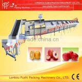 Hot Selling Apple Sorting Machine