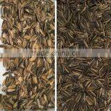 Most Popular Ccd Color Sorter Machine With Factory Price thumbnail-3