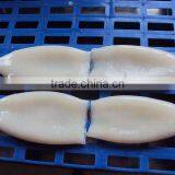 IQF Frozen Squid Tube thumbnail-1