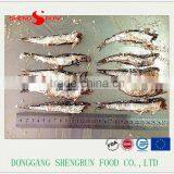 Hot Sales Frozen Salted Anchovy Fish thumbnail-2