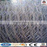 PVC and GI Hexagonal Wire Mesh thumbnail-2