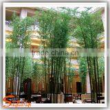 New Style Artificial Green Outdoor Artificial Bamboo Plants Poles Wholesale thumbnail-2