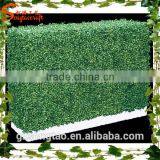 Eco-friendly Garden and Home Decoration Artificial Green Wall Moving thumbnail-1